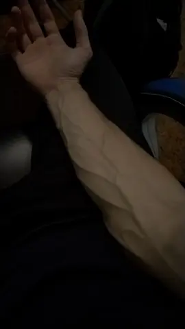 #veinyarms #veins #veinyhands #vein #vadimfiandaca 