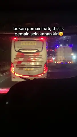 #busmania #sugengrahayu #eka 