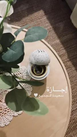 جاءت الإجازة أخيرًا .. ‏عساها إجازة حلوة و جميلة مثل عيونكم و قلوبكم .. ، #اجازة_سعيدة #إجازة #اجازة_سعيدة_للجميع #تصويري #بدون_موسيقى #قهوتي #ترند_تيك_توك #حركة_إكسبلور #الشعب_الصيني_ماله_حل😂😂 