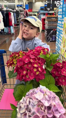 I will never be going to a store ever again without bubby 😆 @Bloom Nutrition #bloompartner #fyp #foryou #shoppinghaul #family #dadsoftiktok