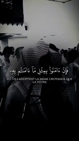 #قرآن_كريم #quran  #فسيكفيكهم_الله  #تلاوات_قرآنية  #محمد_اللحيدان 