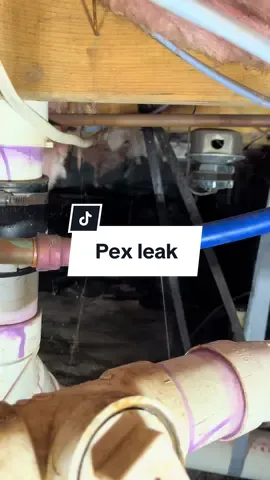 Fixing a pinhole leak on pex with @Milwaukee Tool propress #plumbing #milwaukeetool 