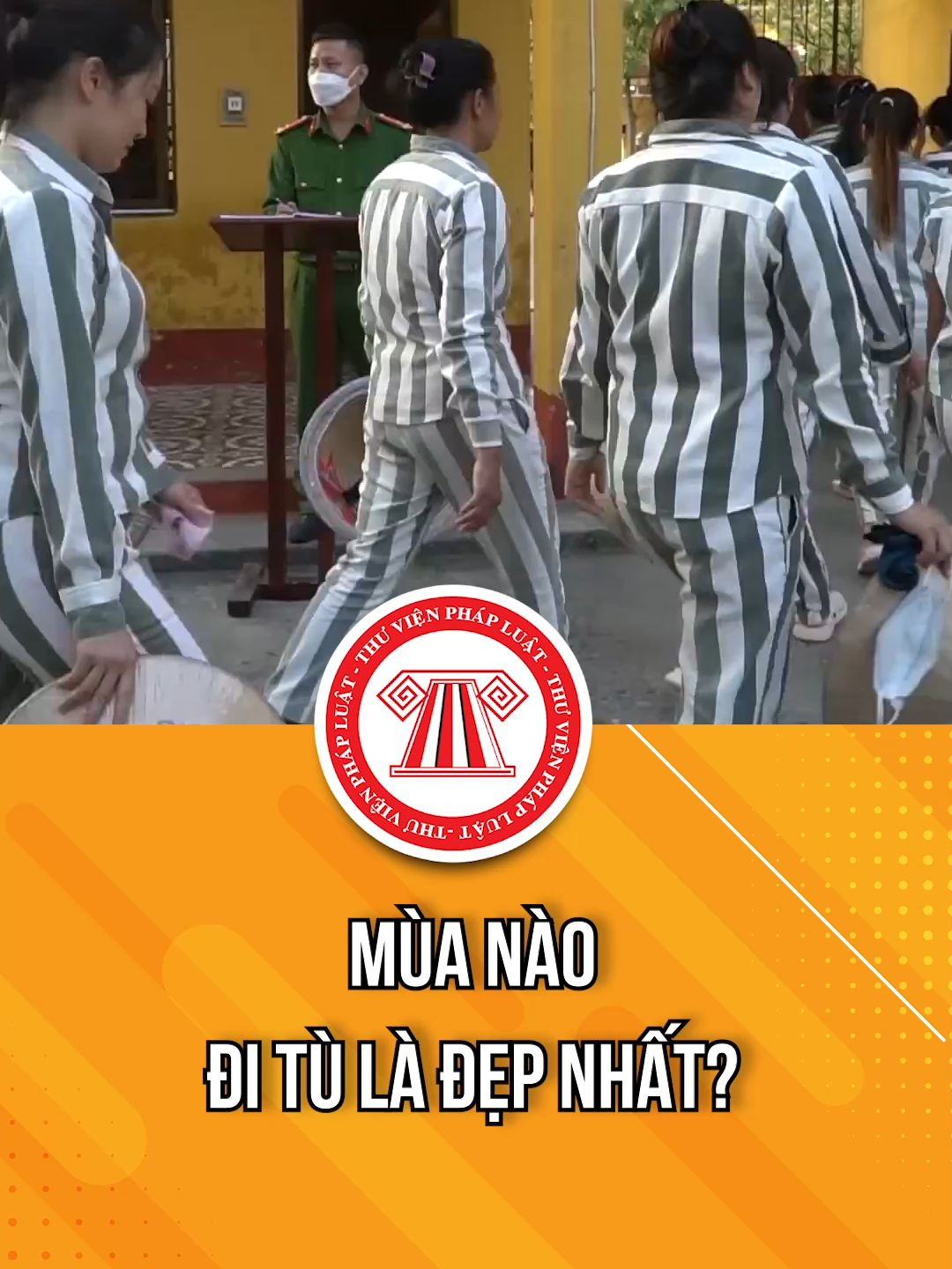 Mùa nào đi tù là đẹp nhất? #TVPL #ThuVienPhapLuat #LearnOnTikTok #hoccungtiktok