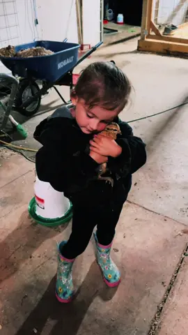 Just a girl loving her chickens 🫶🏼🐥🐔 #chickens #chickentok #kidsoftiktok #chickensoftiktok 