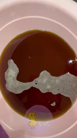 Pine Bucket Squeeze added a little murphy to make it thicker 🌲💜🤎🌲 #asmr #asmrcommunity #asmrsounds #asmrsponge #asmrsoapysounds #asmrsoapysponge #asmrsuds #asmrbubbles #asmrsqueeze #asmrspongesqueezing #asmrdetergent #asmrwatersounds #sponge #spongeasmr #pinebucket #fyp #CleanTok #latinacleantoker 