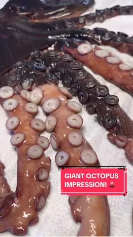 Traditional Gyotaku fish-print of a Giant Pacific Octopus 🐙  As always with this art-form, nothing is ever wasted! This tako went on to make several different delicious dishes, this one in particular being Grilled Tako Chimichurri. #gyotaku #fishprint #oceanart #japaneseart #art #artist #viral #fyp #reels 