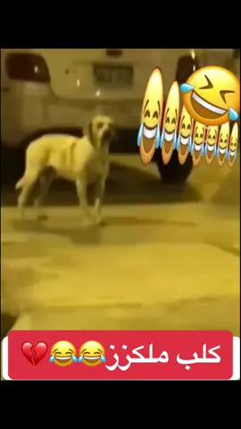 #اكسبلور #مقاطع_ضحك_فله_وناسه #الشعب_الصيني_ماله_حل😂😂 