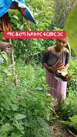 Bee Honey collection with @Doctor Farmer #ኢትዮጵያ_ለዘለዓለም_ትኑር🇪🇹🇪🇹🇪🇹 #ethiopian_tik_tok #አማራዬ💚💛❤አማራዬ💚💛❤ #honey 