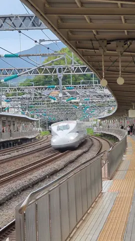 のぞみ、小田原駅通過！ #東海道新幹線 #のぞみ #JR東海 #新幹線 #神奈川 #小田原 #小田原駅 #鉄道 #旅行 #japan #travel #railway #shinkansen 