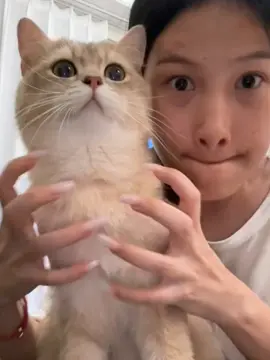 🥰🥰🥰💋💋💋🥴#kitty #cat #catsoftiktok #foryou #fyp 