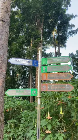 wis tak lali lali nyatane ora biso lali  #fyp #fyppppppppppppppppppppppp #baturaden #baturraden #baturadenid #lfl #xybcaa #viral #laguviral #baturaden♥️ #xybcafyp #baturadenpurwokerto #kebunrayabaturraden #rumahtangga #niken #nikensalindry #nikensalindri 