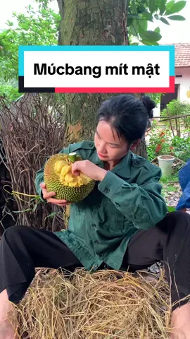 Múcbang mít mật cùng e nha#xuhuong #xaykenhtiktok #vairal 