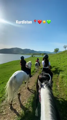 No friends but the mountains ❤️‍🩹 #fyp #mamcenter #kurdistan #erbil #kurd #delale #nofriendsbuthemountains #masrourbarzani #horsegirl #خيل_وخياله🐎 #اربيل #foryou #kurdishgirl 
