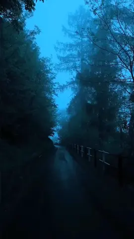 Relaxing Walk #dark #foru #foryou #fyp #nature #relaxing #beautiful #naturebeauty #nighttime 