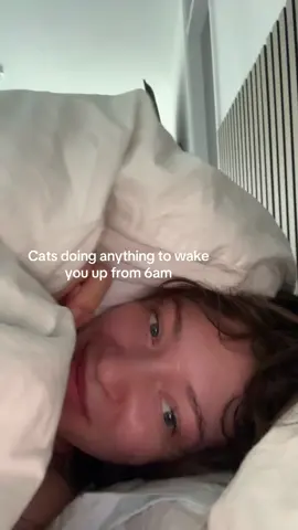 Hiding under the duvet was the only solution but its gets so hard to breath under there 😭😭😭 #catsoftiktok 