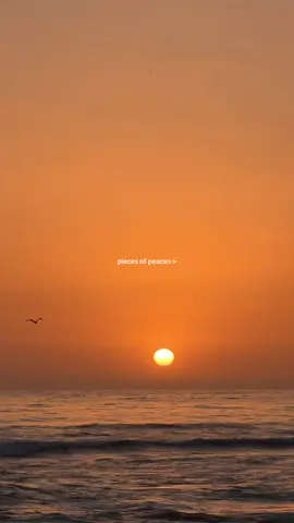 Slow down ~ life is short, enjoy every moment🤍🌞🕊️ #slowliving #slowlifestyle #calmdown #sunset #sunsetlover #sunsetaesthetic #oceanlife #oceantherapy #fyp 