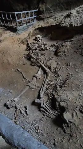 #creepy #horror #giant #giantskeleton #real #cave #thailande #skull #fy #travel #life #voyage #backpack #pourtoi #foryoupage #travellife #foryou #thai #baecation 
