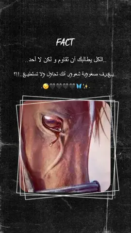 #CapCut #تعددت الجراح فلست أدري اضمد أي جرح في فؤادي.🖤#الحمدلله_دائماً_وابداً #وهـᬽـ𝄠ۛ❦ـم#قال_ربي_اشرح_لي_صدرى_ويسر_لي_أمري🖤🎧 