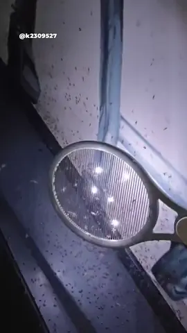 Que ganas de hacerlo nos dió... #mosquitos #raqueta #toques #adn40