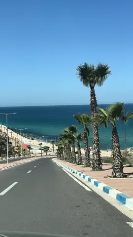 🩵 follow for more content like this! #morocco #maroc #maghreb #alhoceima #hoceima #nador #tanger #sea #vacation #Summer #mediterranean #palmtrees 