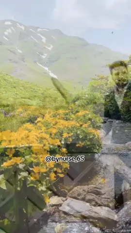 ✅Takip etmeyi ve beğenmeyi unutmayalım 🎼🎶❤️ #keşfet #foryou #kesfet #kürtçemüzik #keşfetteyiz #fyp #müzikkutusu 