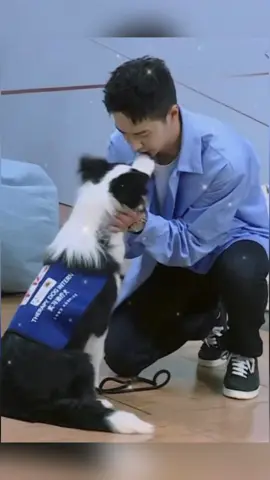 WangYibo×doggy🐶わんこたちもyiboが大好き〜 #王一博 #WangYibo #ワン・イーボー #wangyibo王一博 #俳優 #中国イケメン 
