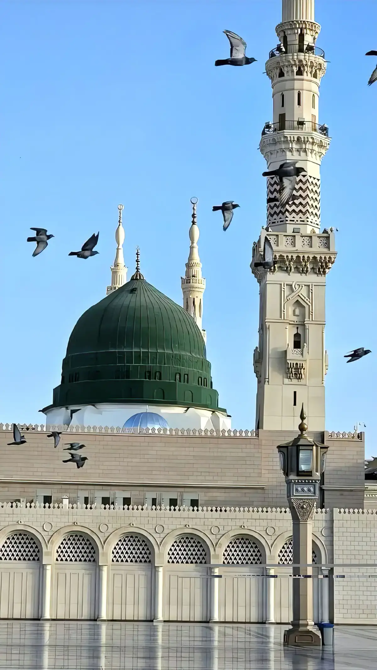 One day🤲🏻 #walpaper #masjidnabawi #madina #madinah #madinahalmunawaroh #umroh #haji #masyaallahtabarakkallah #makkahmadinah🕋 #fyp #fypシ゚viral #4u 