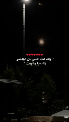 ♥️🫂  #hebron #hebron #الخليل #اكسبلورexplore #fypシ #viral #explore 