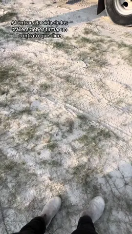 #greenscreen #viral #greenscreen #greenscreen #viral #greenscreen #greenscreen #viral #viral #viral 