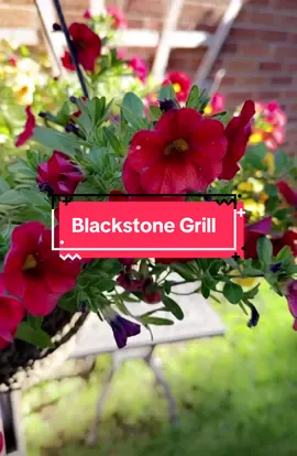 #blackstone #chorizoconhuevo #bacon 