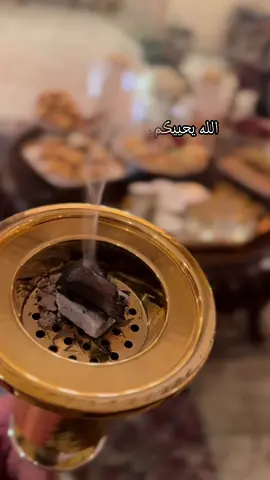 الله يحييكم على العز والطيب #شيلة_ترحيب #شيلة_ترحيبيه #يامرحبا#حي_الله_ضيوفنا #بخور_عود #ترحيب_بالضيوف 