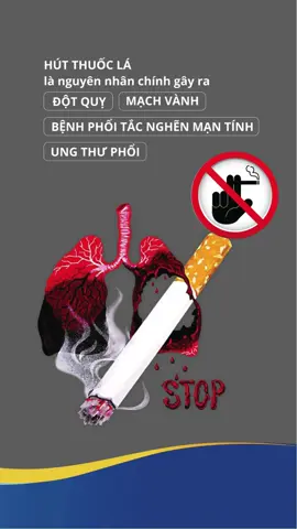 Hút thuốc lá gây hại cho sức khỏe cho chính mình và cho chính những người xung quanh
