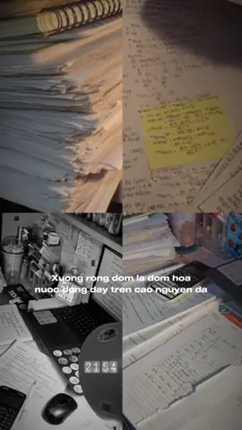 Giấc mơ không phải là thứ mà bạn thấy khi ngủ. Giấc mơ là điều không cho phép bạn ngủ! 📌💯🥇 #study #studygram #studywithme #dodaihoc #iampth #movtivationvideo 