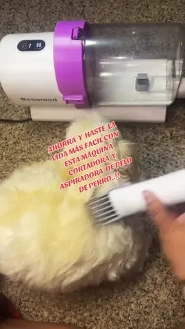 #aspiradoraycortadoradepeloparaperros#dogs #lomejordetiktokshop #perros #aseodeperros #comodidad#practico #ahorro #tiendatiktokshop🥰 #tiktokshop #lomejordelomejor #planchadevapordemano 
