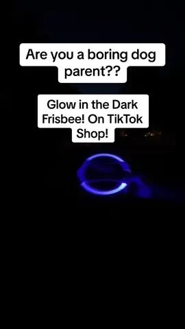 Queenie had the BEST time!! 10/10 recommend👏 #dogs #goldenretriever #playtime #Outdoors #fyp #viral #foryou #tiktokshop #cutedog #doggo #goldenretrieverpuppy #cute #fun #Summer #summervibes #dogtoys #frisbee #evening #glowinthedark #purchase #shopping #marketing #buy