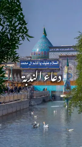 ولنا في كلِ جمعةٍ ميعاد🥹🍃 القارئ: مهدي سماواتي #دعاء_الندبة #دعاء_الندبة_يااباصالح_ادركنا #مقام_الامام_المهدي_عليه_السلام #مسجد_السهله #مسجد_جمكران #صاحب_الزمان #مهدي_سماواتي 