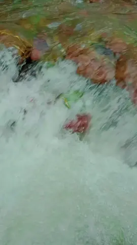 #likessssssssssssssssssss #foryoupagesofficiall #foryour 