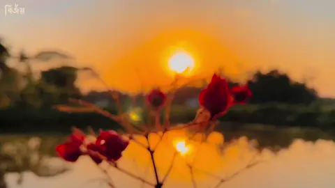 তোমায় হৃদয় মাঝে রাখবো ছেড়ে দেবো না.!♥️#প্রকৃতিরভিউ #capcut #viralvideo #unfrezzmyaccount #tiktokbangladesh🇧🇩 #follower #viraltiktok #bdtiktokofficial #1millionviews #trending #1m @For You @TikTok Bangladesh @TikTok 