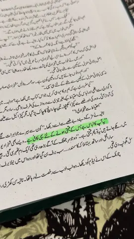 Adam bin Muhammad🥰 #foryou #standwithkashmir #unfrezzmyaccount #novels #peerekamil #halim 