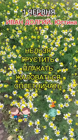 #1 июня🌺🦋 прикметы 🌍