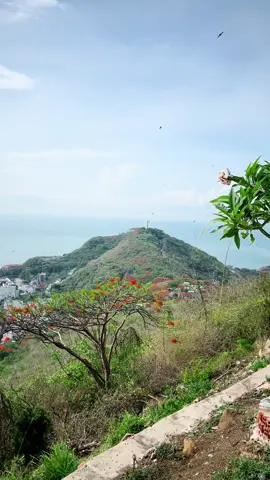 Bài hát hay cùng với cảnh đẹp của thành phố biển các bạn cùng nghe nhé ....!!!💕🥰☘️#ChillWithTikTok #cảnhđẹpthiênnhiên #thịnhhanh2024 #xuhuong2024 