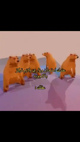 وتستمر الدببه بالرقص #الشعب_الصيني_ماله_حل #fyp #foryou 