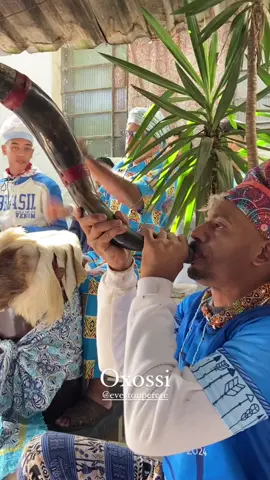 #oro #oxossi💚🏹 #candomblé #axe #candomblebrasil #umbandasaber #axe #umbandasaber #br #religiao #umbandachallenge #ase #@Everton Perere 