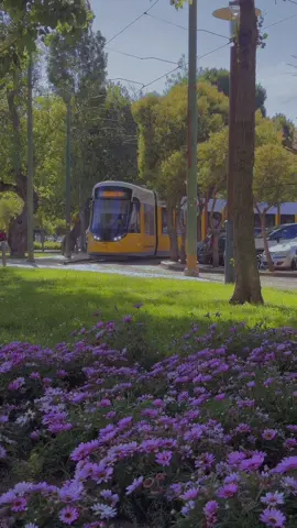 Mais um dia comum em Lisboa no eletrico 15. #visitportugal #lisboa 