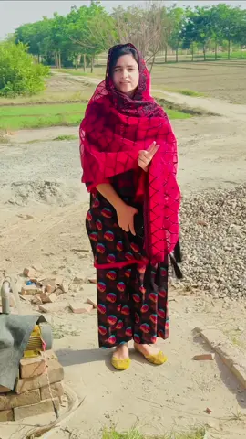 Wafadar❤️🦅🫥#shamsakanwal_1 #viralvideo #treanding #mehakshehzadi_ 