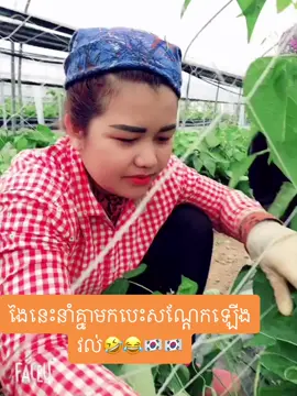 #អគុណសម្រាប់ការចុច❤️អោយខ្ញុំ❤️🙏🙏🙏 #fyp #tiktok #នារីកសិកម្ម🇰🇷 