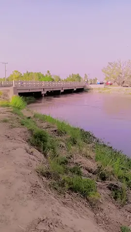 #aminpur#gojra link nehar stay in jhang #furyuo #trending #viral #video usmanjutt