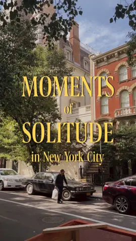 moments of solitude in new york city—sometimes a bit challenging to find, but if you look hard enough (and maybe avoid the touristy hotspots on the weekend) you’ll find them! 🌞🏙️🌳✨ shot on iphone 4k at 30fps #ethanbarberco #newyorkphotographer #summerinnewyork #centralpark #uppereastside