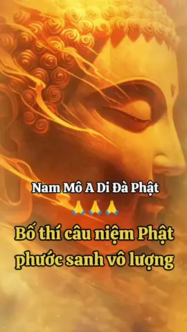 Nam Mô A Di Đà Phật 🙏🙏🙏 #phatphapnhiemmau 