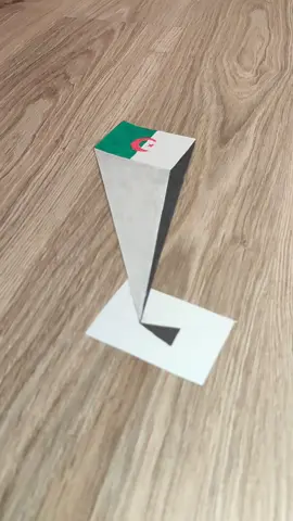 رسم سهل رسم علم الجزائر ثلاثي الأبعاد #3d #رسم_سهل #fypシ #خداع_البصر 
